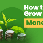 Investing for Beginners: How to Grow Your Wealth Over Time