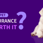 Pet Insurance: Is It Worth the Cost?